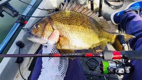 bream fishing|BREAM FISHING FOR BEGINNERS .